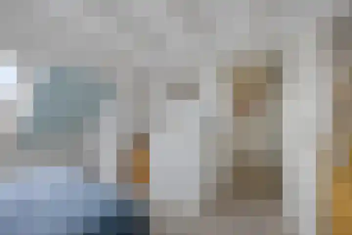 Regenboog 24 Heerenveen thumbnail 35