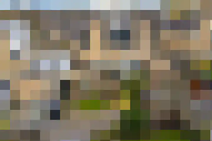 Regenboog 24 Heerenveen thumbnail 41