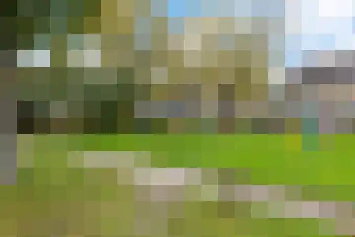 Regenboog 24 Heerenveen thumbnail 48