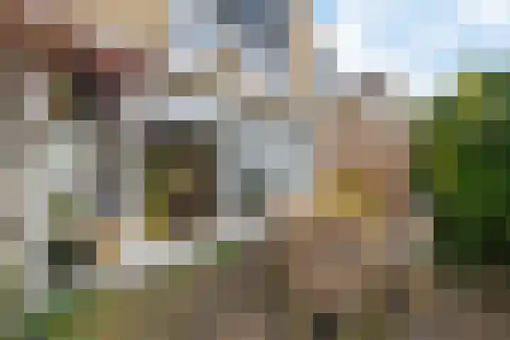 Regenboog 24 Heerenveen thumbnail 5