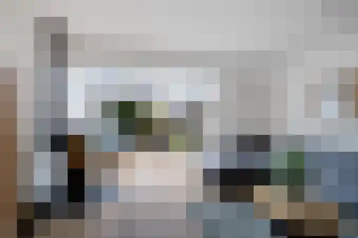 Regenboog 24 Heerenveen thumbnail 6