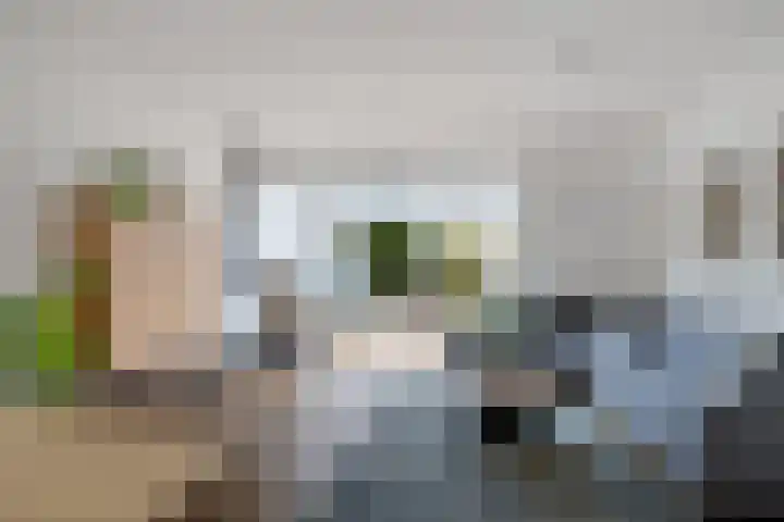 Regenboog 24 Heerenveen thumbnail 7