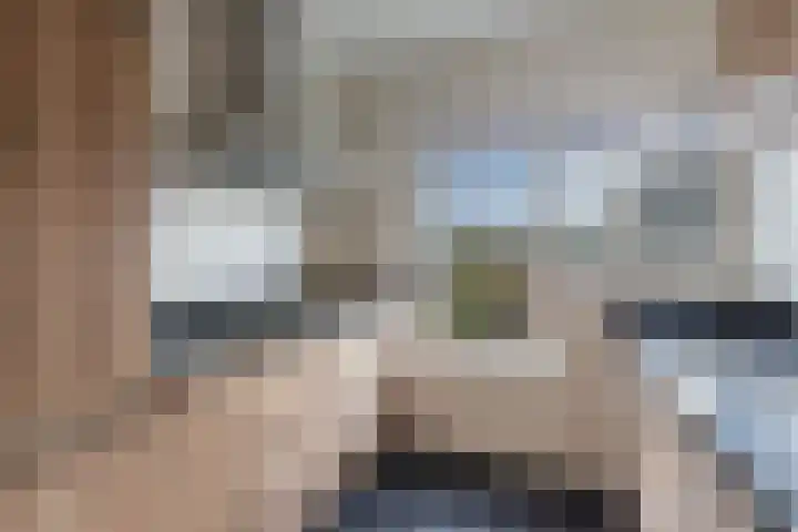Regenboog 28 Heerenveen thumbnail 17