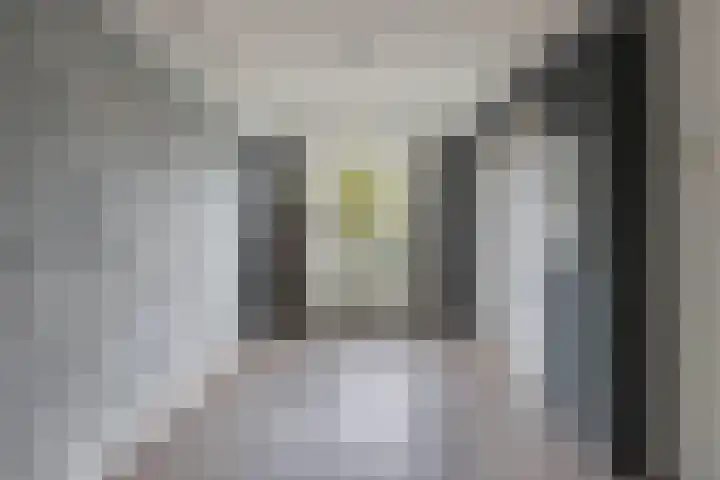 Regenboog 28 Heerenveen thumbnail 21