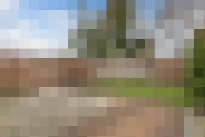 Regenboog 28 Heerenveen thumbnail 32