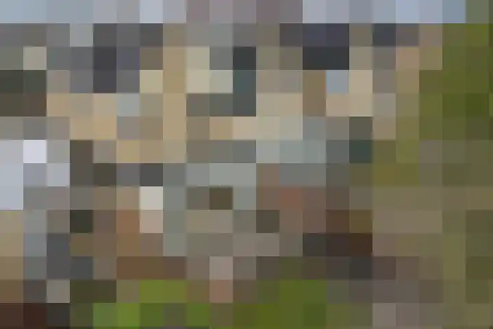 Regenboog 28 Heerenveen thumbnail 39