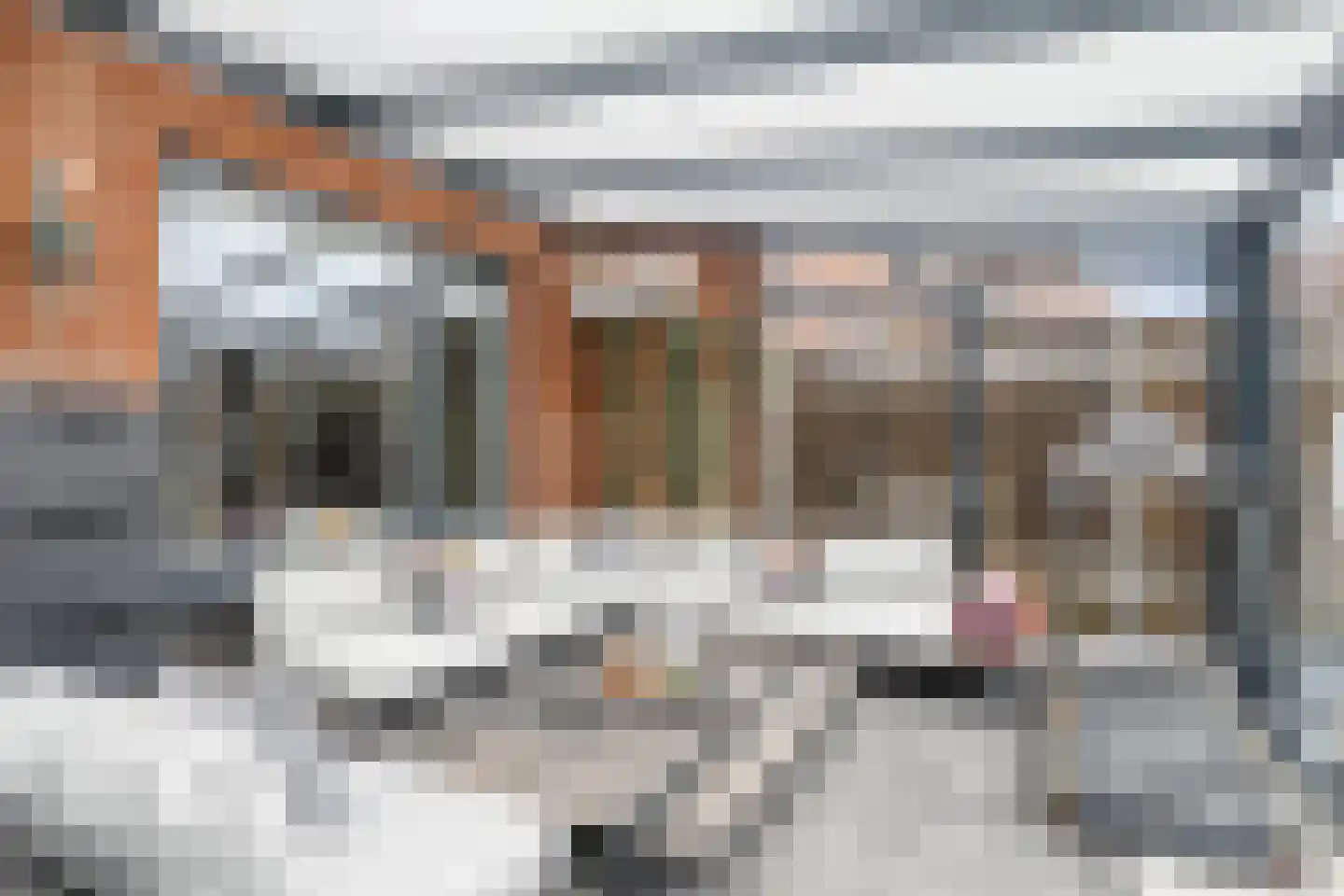 Regenboog 28 Rhoon thumbnail 14