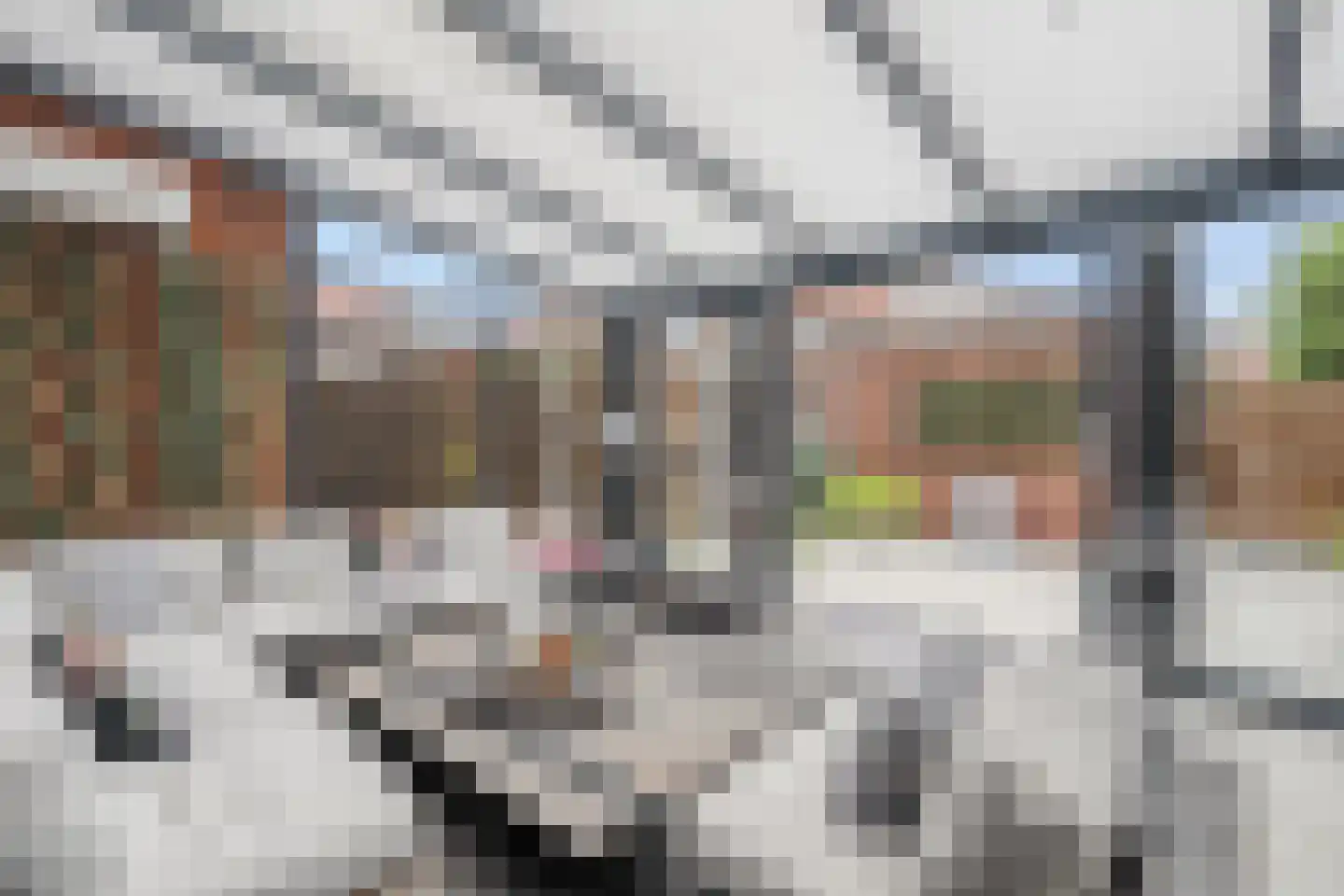 Regenboog 28 Rhoon thumbnail 4