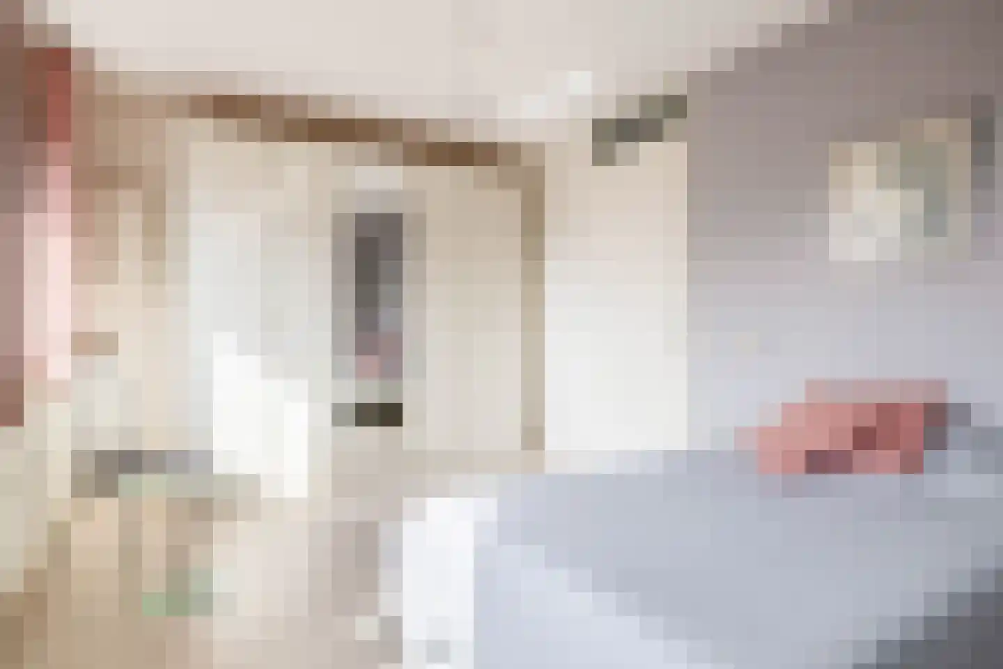 Regenboog 288 Rhoon thumbnail 26