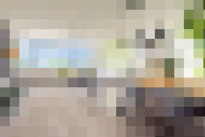 Regenboog 31 Amersfoort thumbnail 20