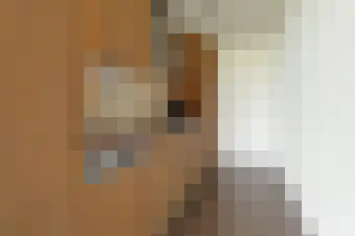 Regenboog 31 Amersfoort thumbnail 23