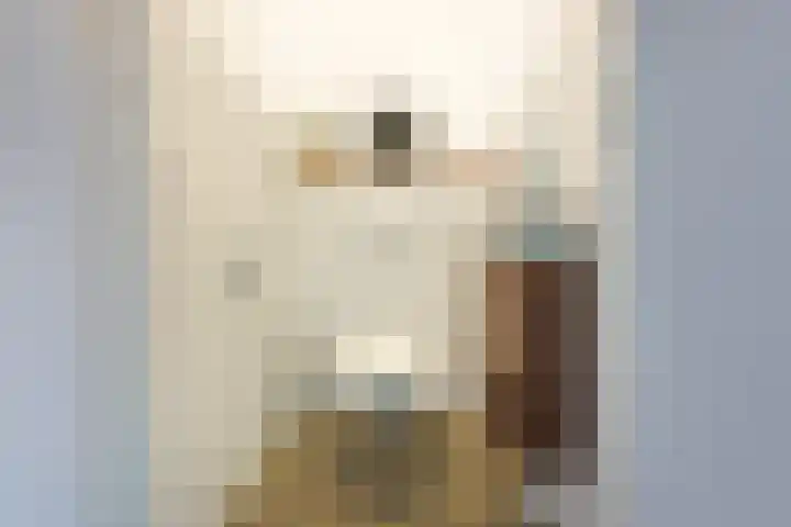 Regenboog 31 Amersfoort thumbnail 31