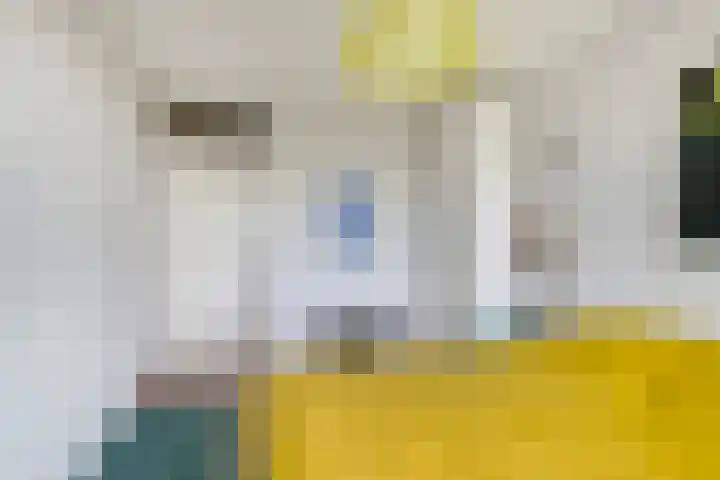 Regenboog 32 Amersfoort thumbnail 21
