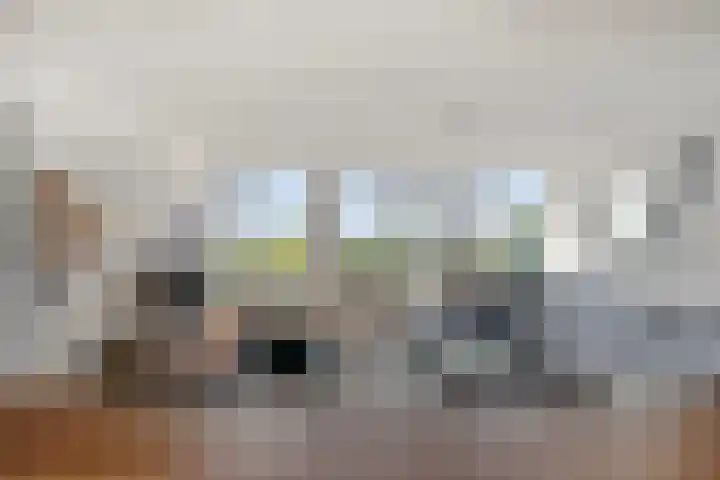 Regenboog 32 Amersfoort thumbnail 24