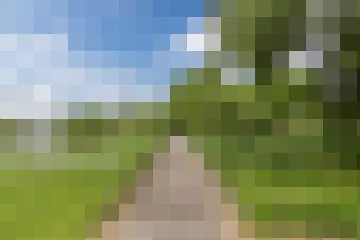 Regenboog 37 Amersfoort thumbnail 32