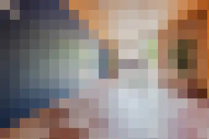 Regenboog 37 Amersfoort thumbnail 6