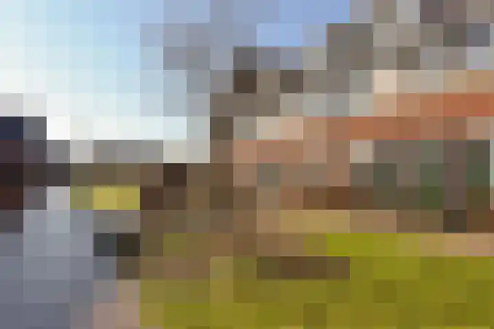 Regenboog 45 Vinkeveen thumbnail 25