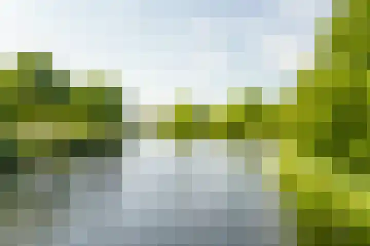 Regenboog 46 Amersfoort thumbnail 28