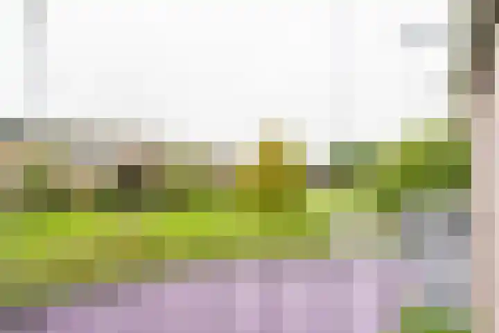 Regenboog 52 Amersfoort thumbnail 18