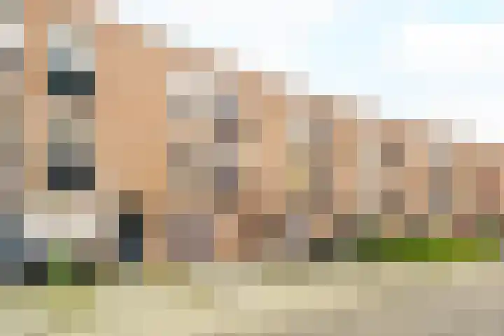 Regenboog 52 Amersfoort thumbnail 29