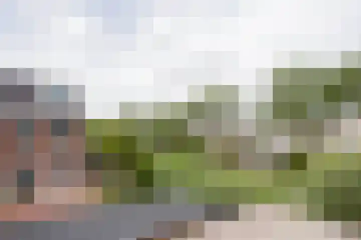 Regenboog 53 Vinkeveen thumbnail 11