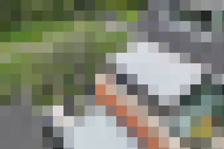 Regenboog 53 Vinkeveen thumbnail 13