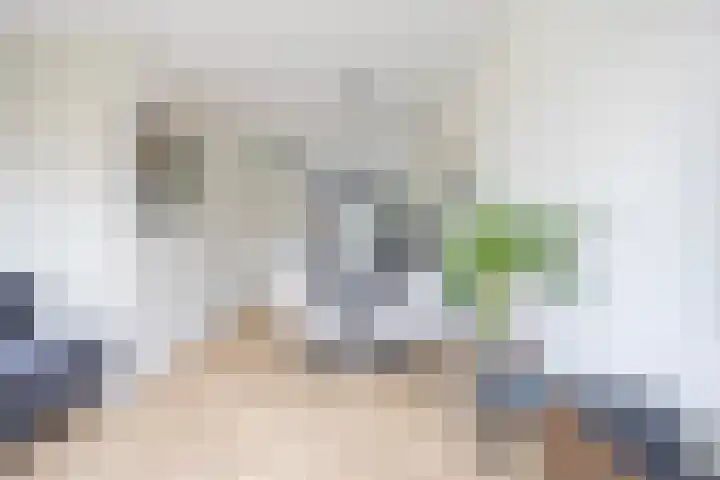 Regenboog 53 Vinkeveen thumbnail 15
