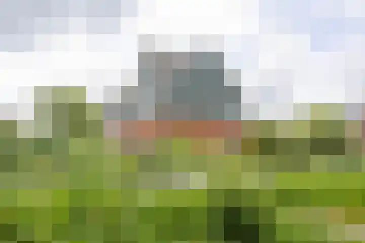 Regenboog 53 Vinkeveen thumbnail 31