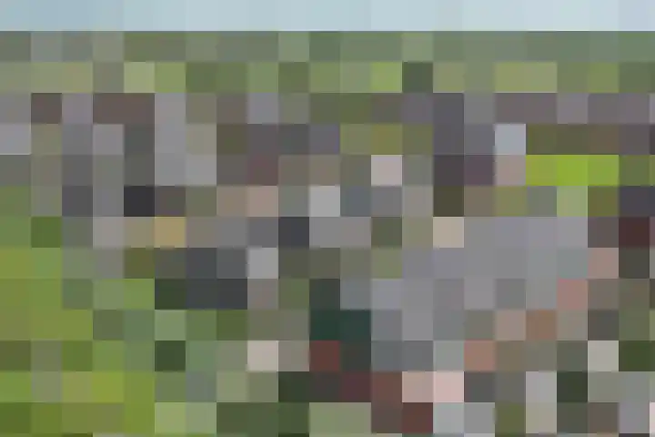 Regenboog 53 Vinkeveen thumbnail 34