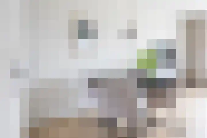 Regenboog 53 Vinkeveen thumbnail 5