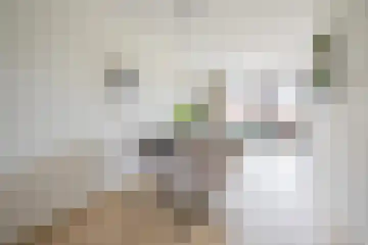 Regenboog 53 Vinkeveen thumbnail 6