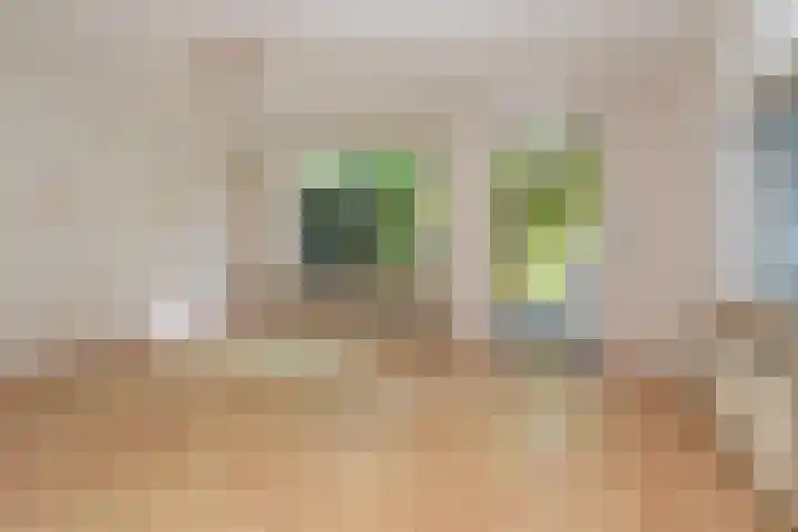 Regenboog 59 Loosdrecht thumbnail 4