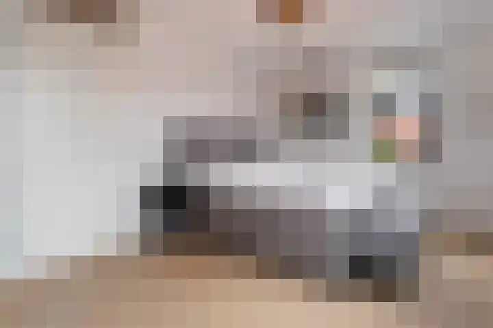Regenboog 67 Vinkeveen thumbnail 23