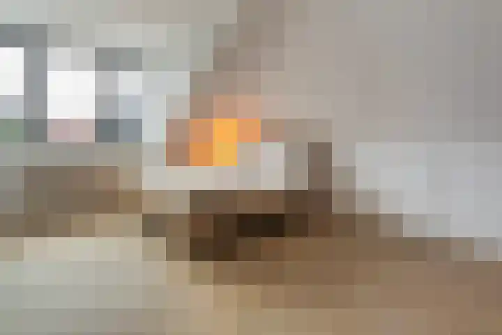 Regenboog 67 Vinkeveen thumbnail 35