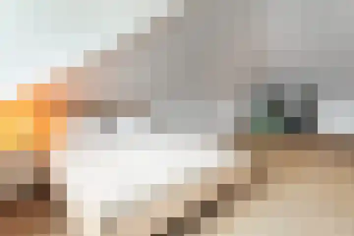 Regenboog 67 Vinkeveen thumbnail 36