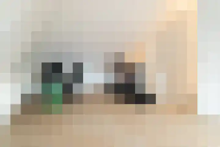 Regenboog 67 Vinkeveen thumbnail 37
