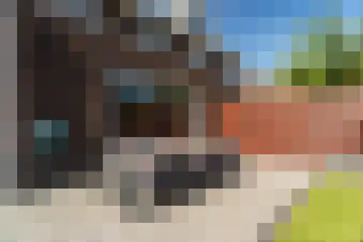 Regenboog 67 Vinkeveen thumbnail 40