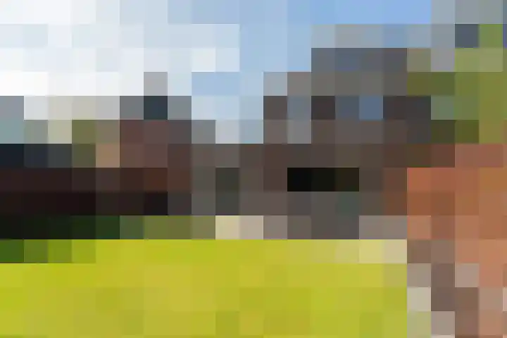 Regenboog 67 Vinkeveen thumbnail 42
