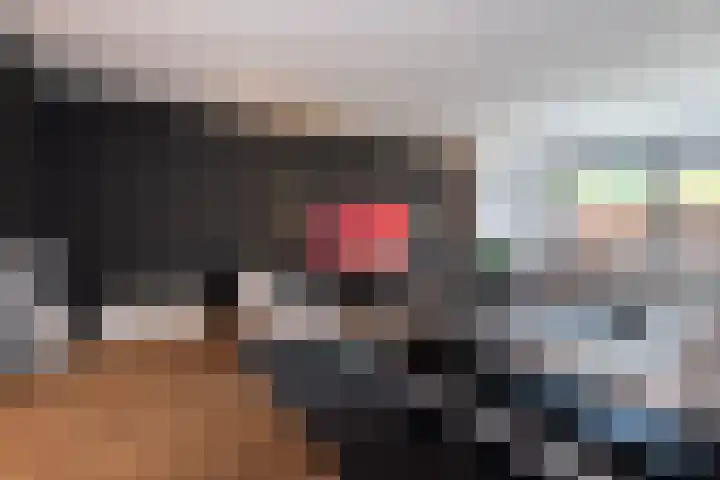 Regenboog 67 Vinkeveen thumbnail 7