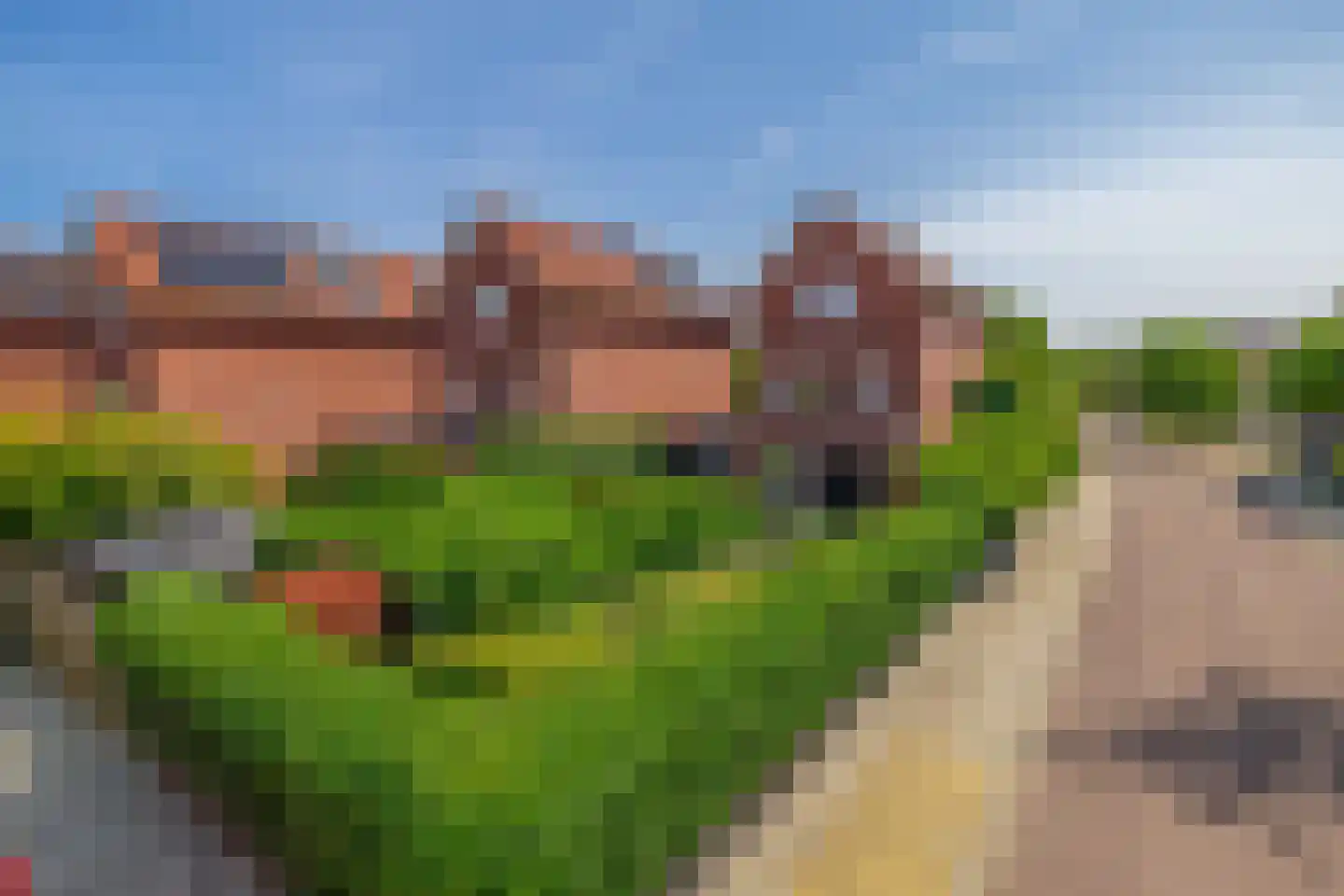 Regenboog 82 Rhoon thumbnail 12