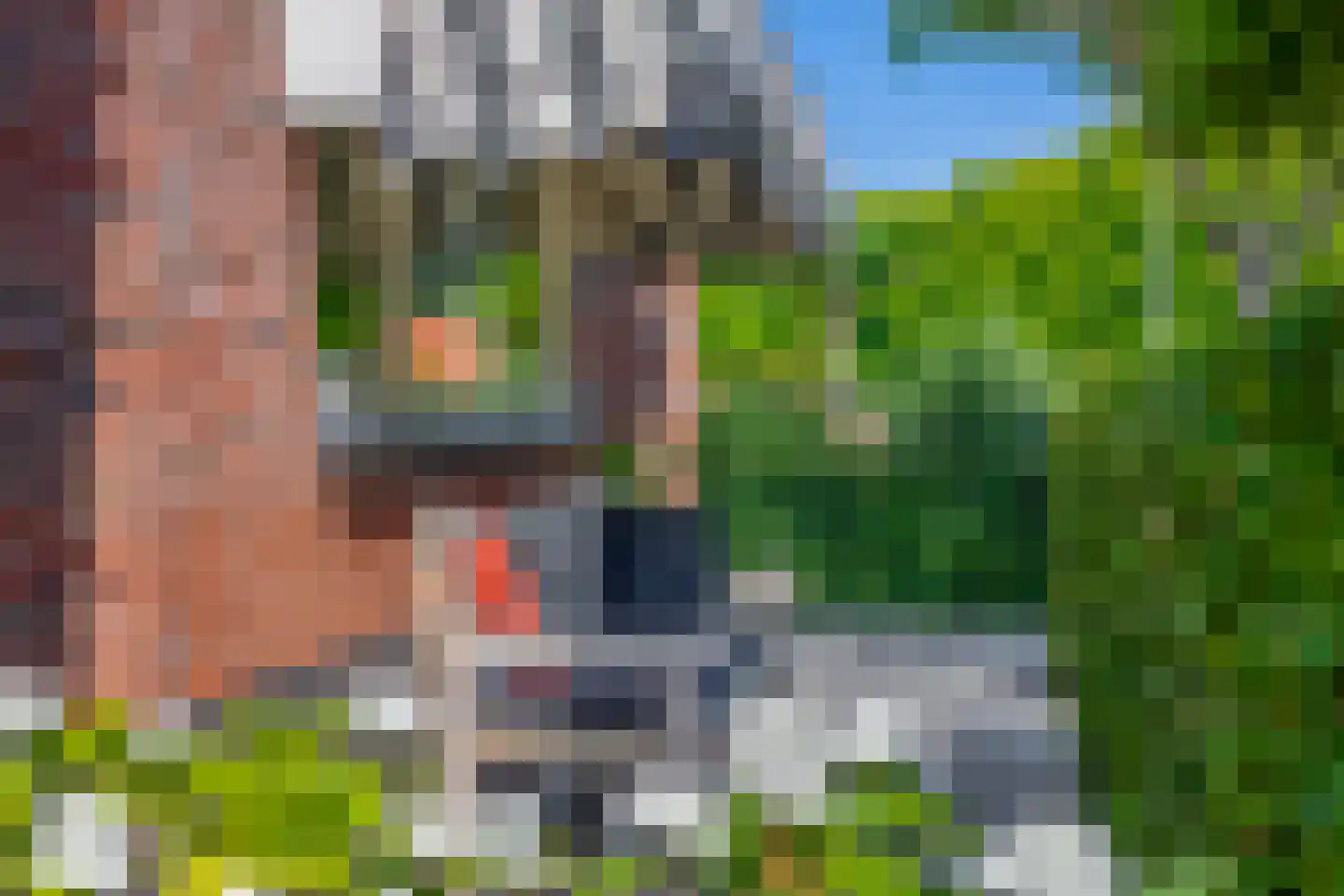 Regenboog 82 Rhoon thumbnail 17