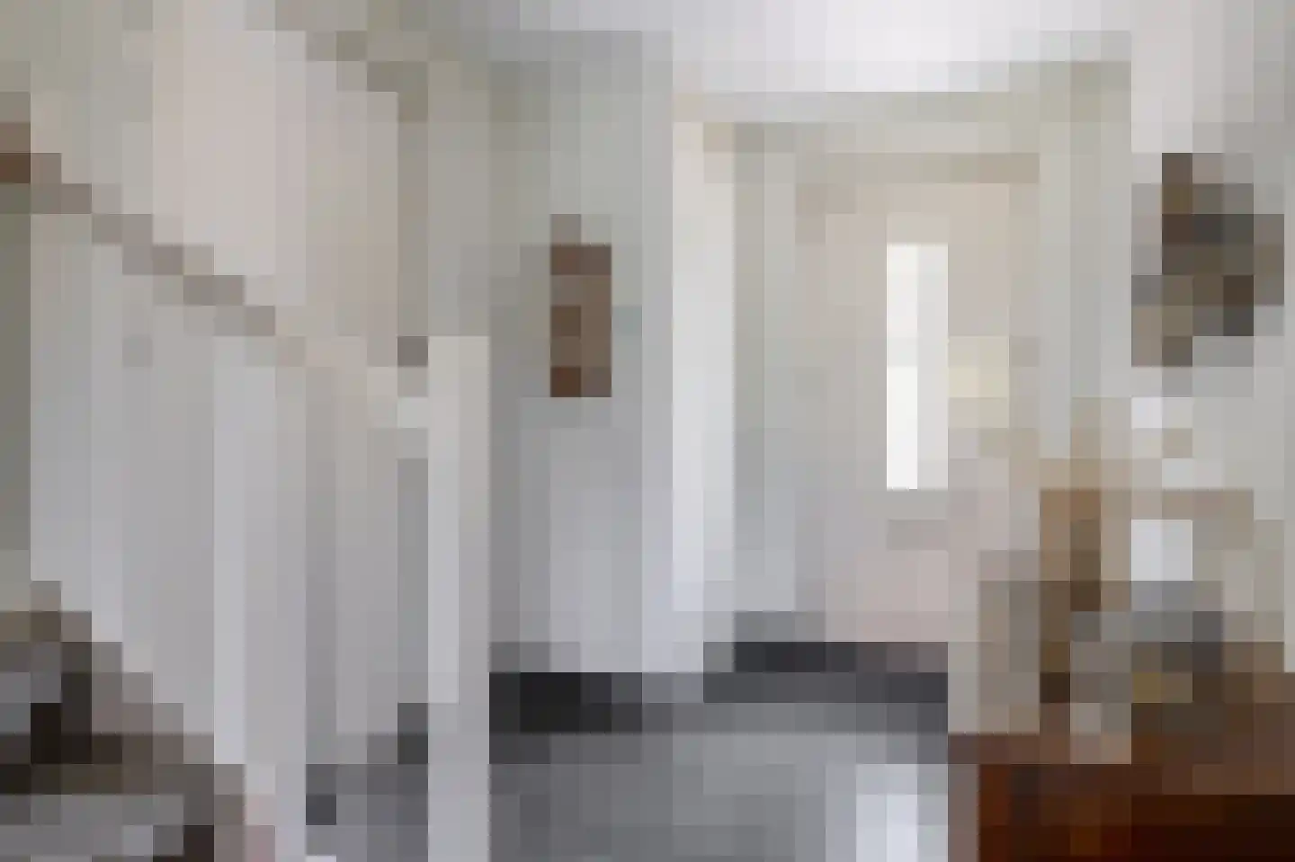 Regenboog 82 Rhoon thumbnail 19