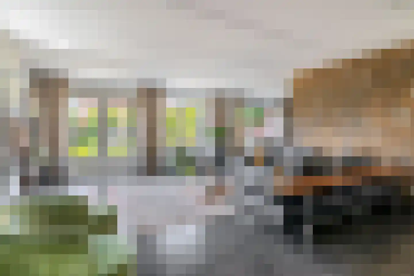 Regenboog 82 Rhoon thumbnail 22
