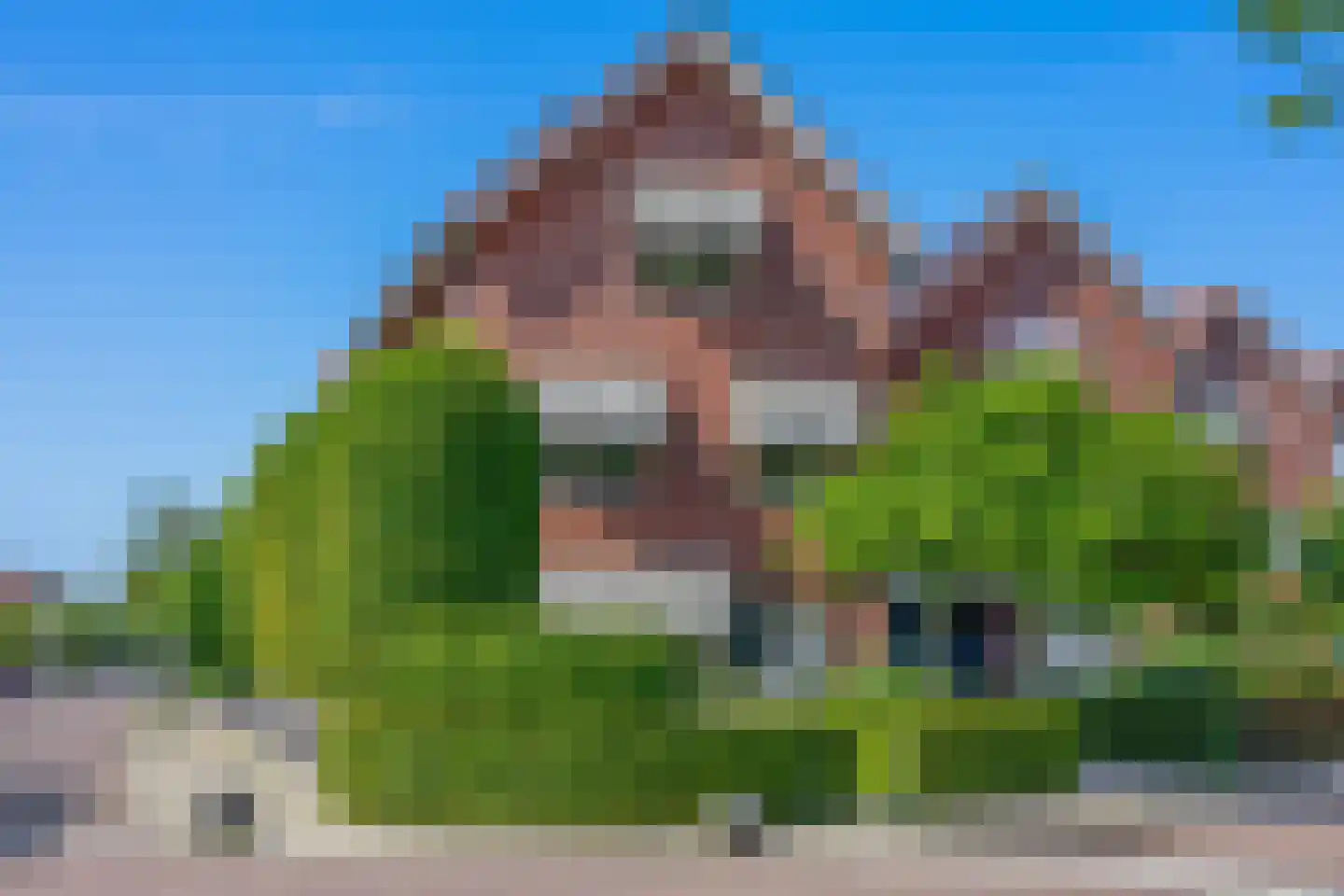 Regenboog 82 Rhoon thumbnail 7