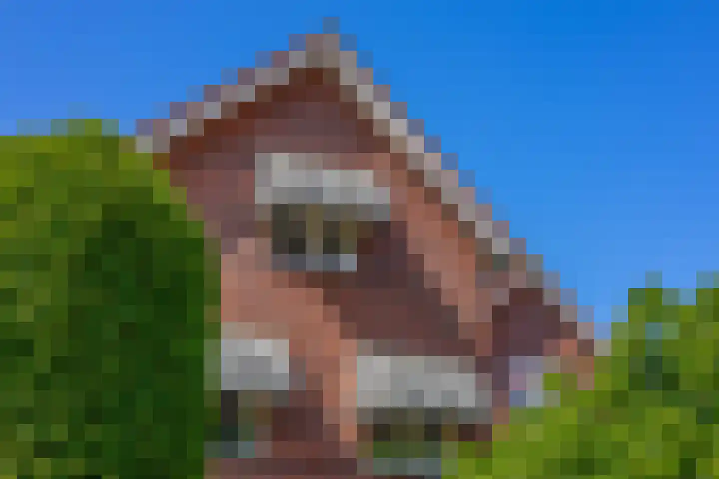 Regenboog 82 Rhoon thumbnail 8