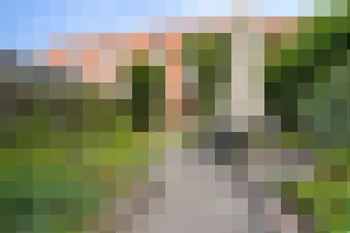 Regenboog 88 Amersfoort thumbnail 29