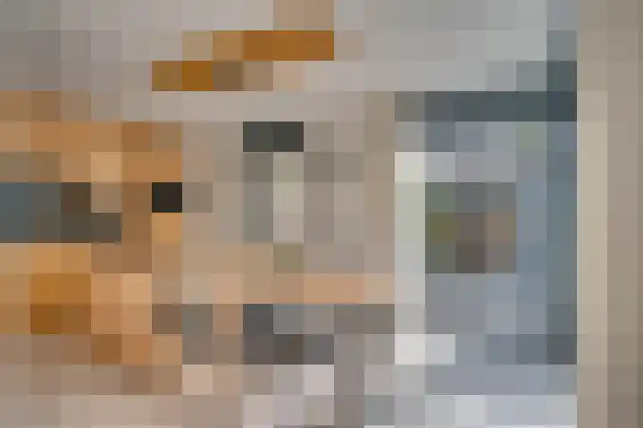 Regenboog 9 Venlo thumbnail 10