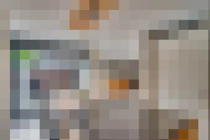 Regenboog 9 Venlo thumbnail 13