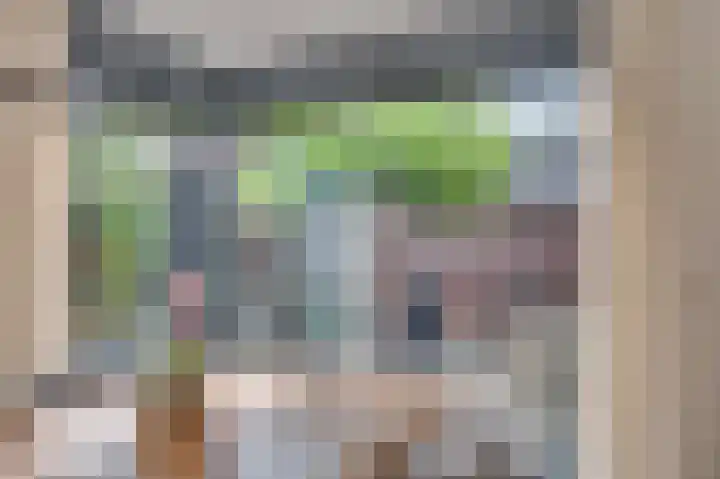 Regenboog 9 Venlo thumbnail 14