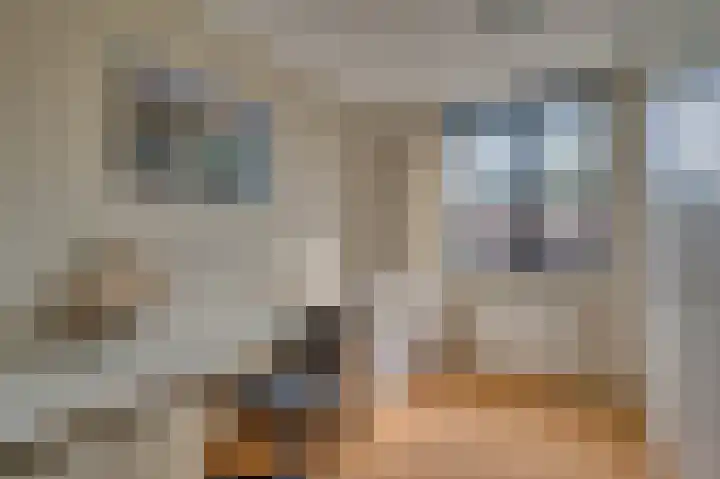 Regenboog 9 Venlo thumbnail 17